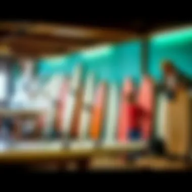Magnificent An In-Depth Exploration of Greenlight Surfboard Supply