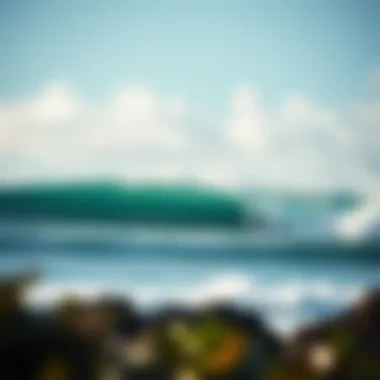 Magnificent Beginner Surf Spots on North Shore Oahu: A Comprehensive Guide Magnificent Beginner Surf Spots on North Shore Oahu: A Comprehensive Guide