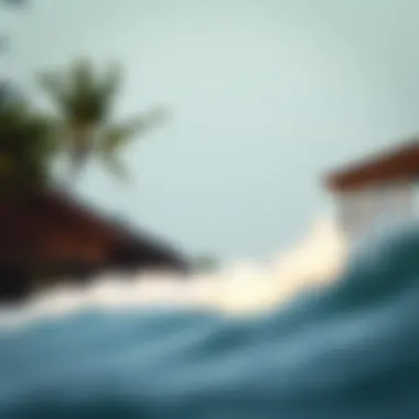Magnificent Exploring Surf Camp Experiences in Central America