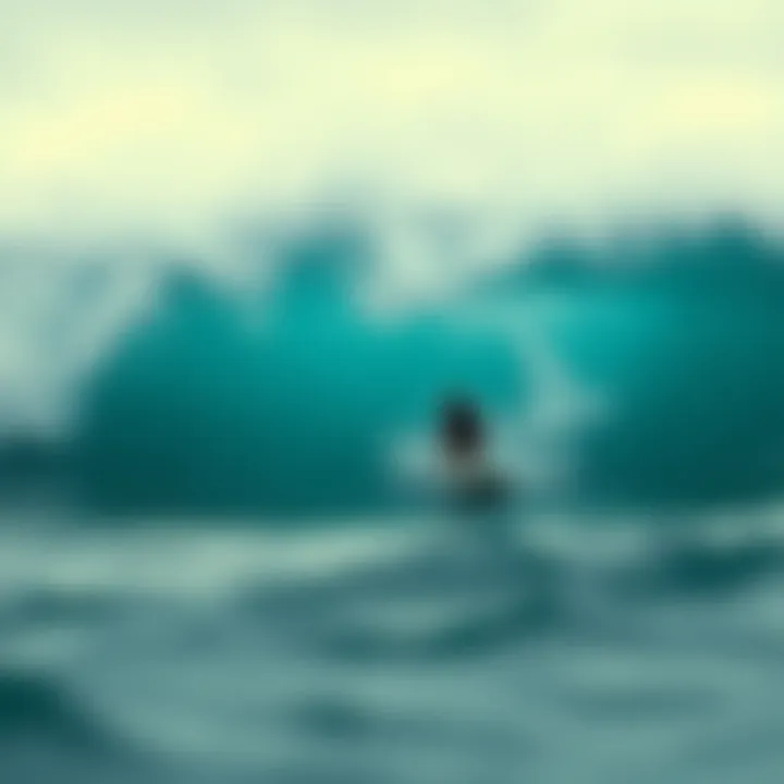 Magnificent Exploring Swell Surf Camp: A Comprehensive Guide