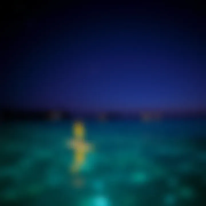 Magnificent Exploring the Bioluminescent Ocean: Nature’s Light Show