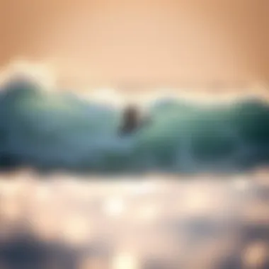 Magnificent Exploring the Dynamics of Foil Surfboarding Magnificent Exploring the Dynamics of Foil Surfboarding