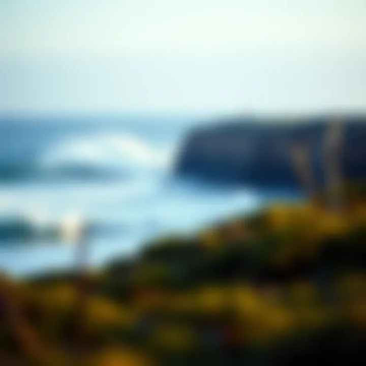Magnificent Exploring the Dynamics of Surf Parks