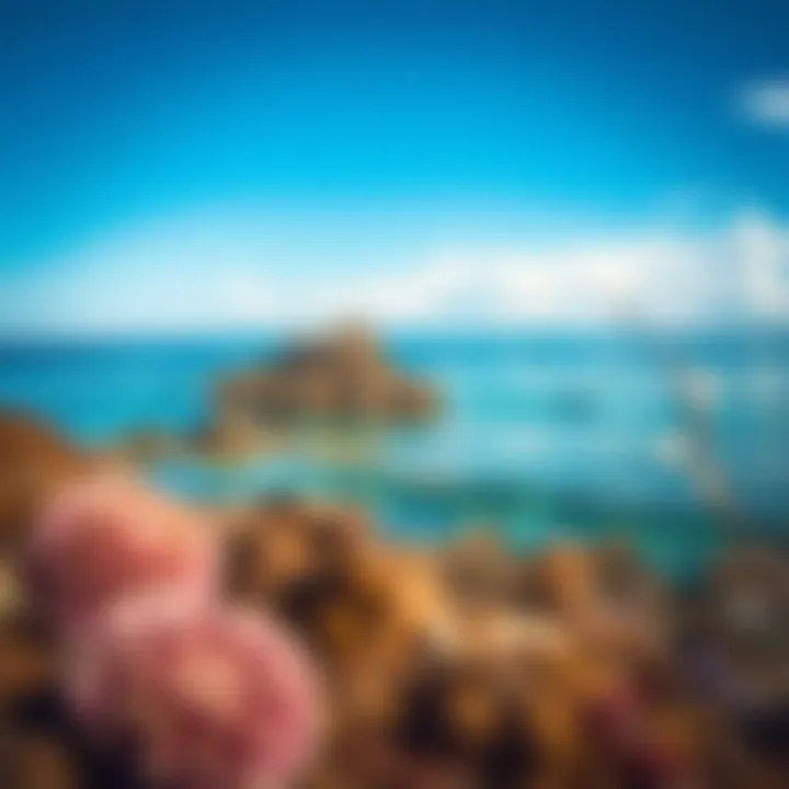 Magnificent Exploring the Great Barrier Reef: A Comprehensive Overview