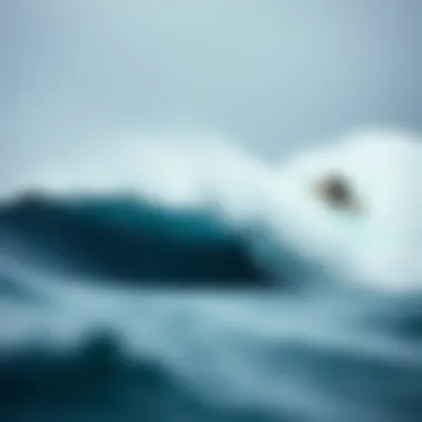 Magnificent Exploring the World of Jamie O'Brien: A Surfer's Journey
