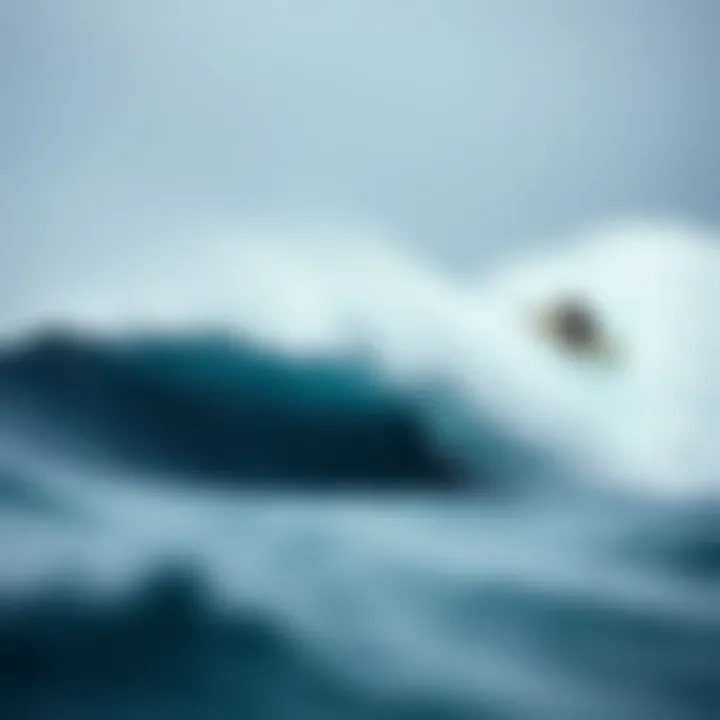 Magnificent Exploring the World of Jamie O'Brien: A Surfer's Journey