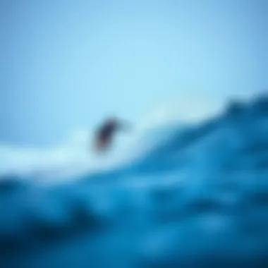 Magnificent Navigating the Surf: An In-Depth Analysis of Surfline at Tstreet