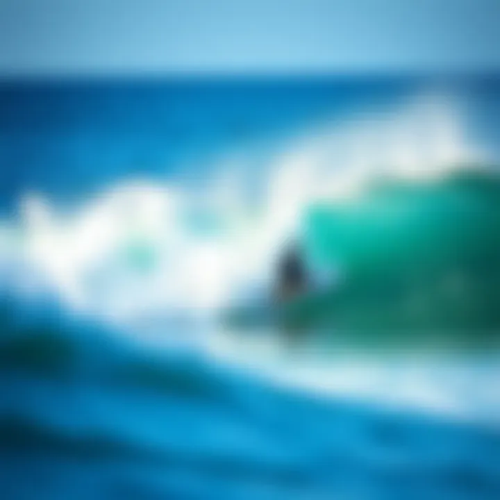 Magnificent Surfing Vacation in California: A Comprehensive Guide