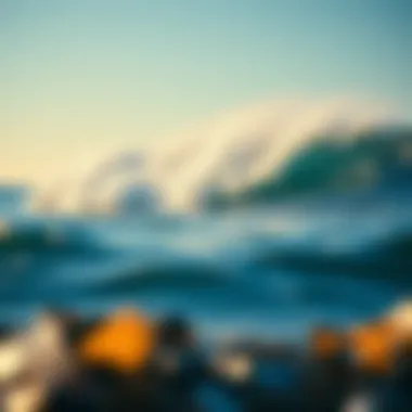 Magnificent The Great Pacific Garbage Patch: An In-Depth Analysis