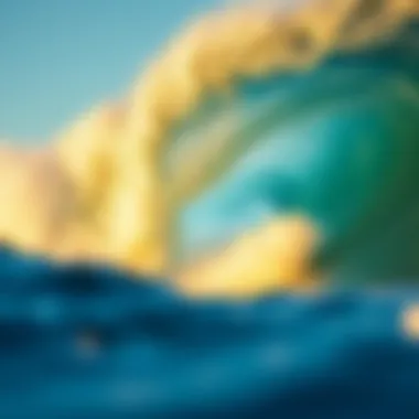 Magnificent The Surfrider Foundation: A Commitment to Coastal Conservation Magnificent The Surfrider Foundation: A Commitment to Coastal Conservation