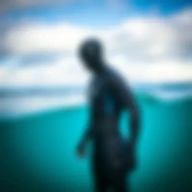 Notable A Comprehensive Guide to LT Wetsuits: Performance, Design, and Usage Notable A Comprehensive Guide to LT Wetsuits: Performance, Design, and Usage