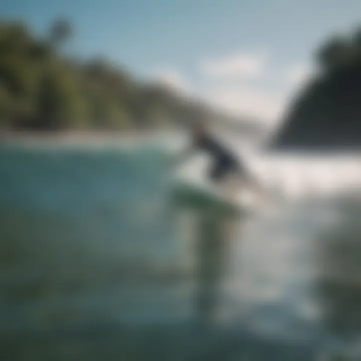 A group of surfers participating in a surf lesson