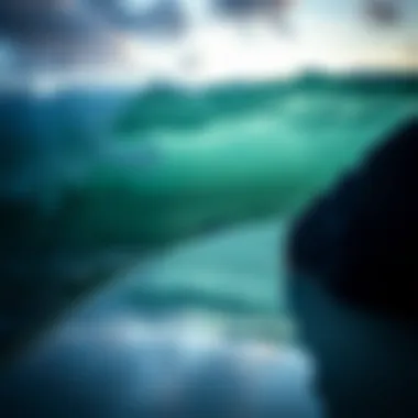 An In-Depth Exploration of Greenlight Surfboard Supply Summary An In-Depth Exploration of Greenlight Surfboard Supply Summary