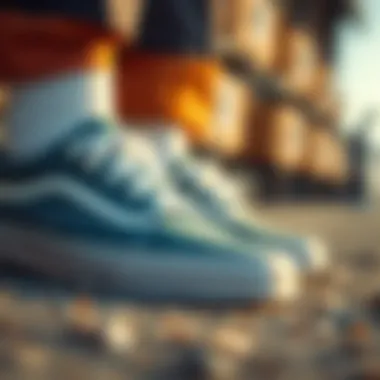 An In-Depth Exploration of Vans as the Optimal Choice for Day Shoes Summary An In-Depth Exploration of Vans as the Optimal Choice for Day Shoes Summary
