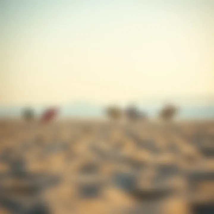 Beach landscape with surfers in the background