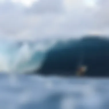 Beginner Surf Spots on North Shore Oahu: A Comprehensive Guide Summary Beginner Surf Spots on North Shore Oahu: A Comprehensive Guide Summary