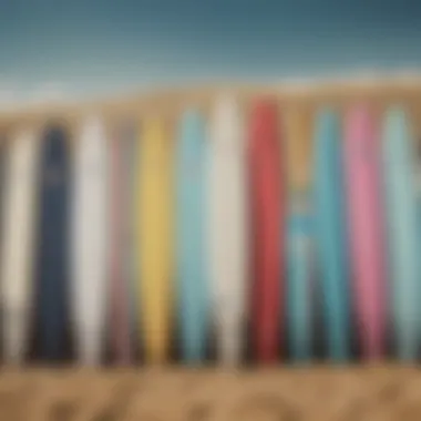 A selection of soft top surfboards lined up on the beach