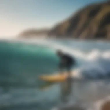 Surfing school instructors guiding students