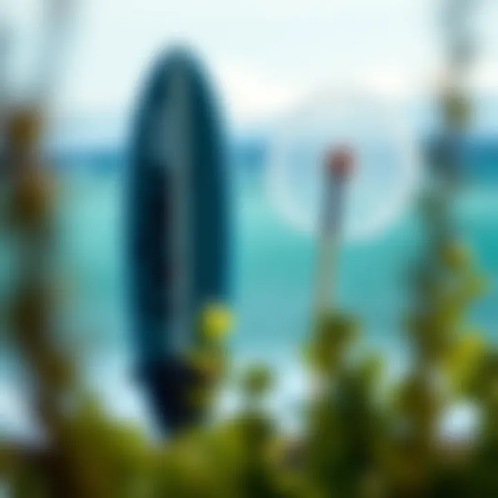 Environmental Considerations in Cabrinha Foil Boards Eco-friendly materials used in the construction of Cabrinha foil boards