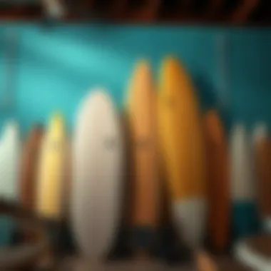 Types of Surfboards Different types of surfboards displayed