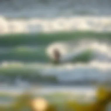 Surfing Conditions in Action Surfer riding a wave at a popular surf spot
