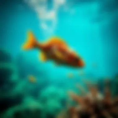 Marine Life and Ecosystem Health Underwater scene showcasing marine biodiversity