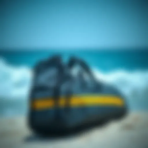 Dakine surf board bag showcasing robust design