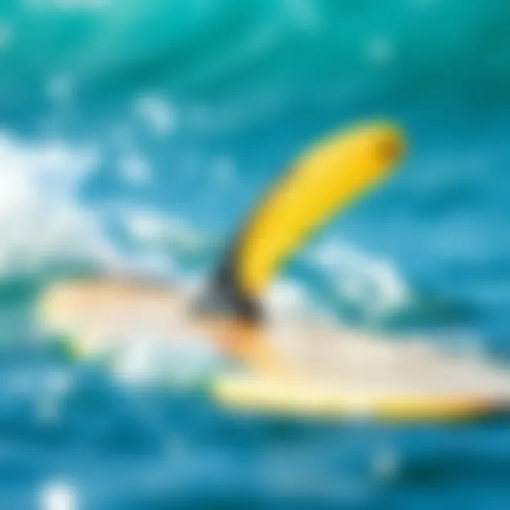 Environmental impact of motorized fins in oceans
