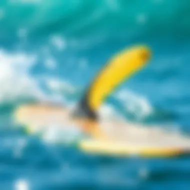 Assessing the Environmental Implications of Motorized Fins Environmental impact of motorized fins in oceans