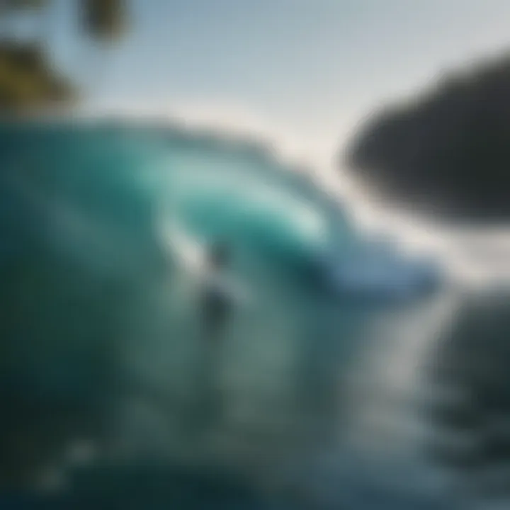 A serene natural environment highlighting wake surfing's impact.