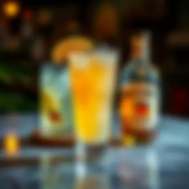 Exploring Cocktail Shots with Malibu Coconut Rum Summary Exploring Cocktail Shots with Malibu Coconut Rum Summary