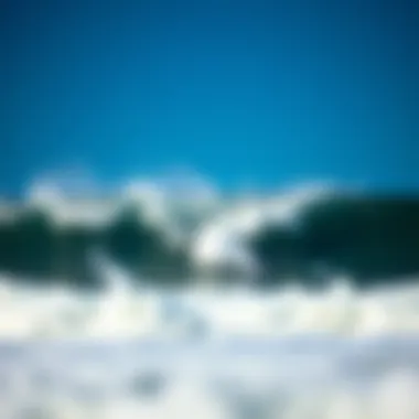 Exploring Earth Lover Quotes: A Reflection on Our Relationship with Nature Introduction Exploring Earth Lover Quotes: A Reflection on Our Relationship with Nature Introduction