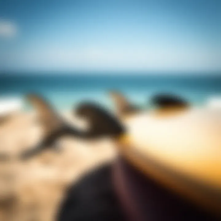 Exploring FCS Rack Pads: Protecting Your Surfboards with Precision Summary