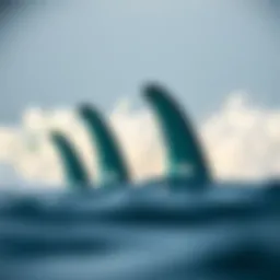 Dynamic five fin configuration showcasing performance advantages