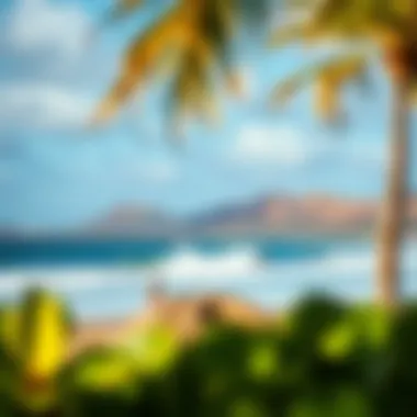 Notable Exploring Haleiwa Beach: A Comprehensive Guide for Surfing Enthusiasts Notable Exploring Haleiwa Beach: A Comprehensive Guide for Surfing Enthusiasts