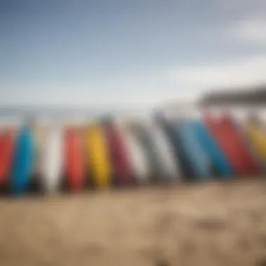 Surfboards lined up on the sandy beach at La Jolla Shores