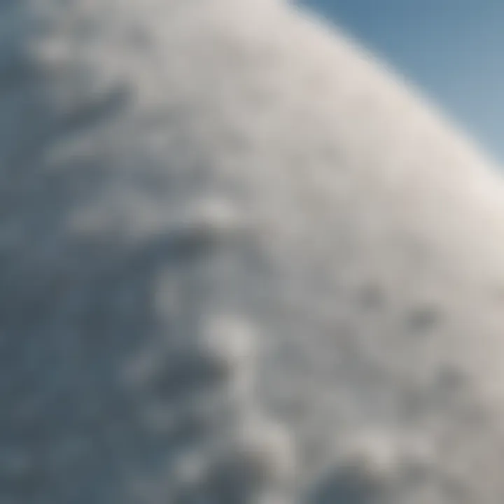 A close-up view of ocean salt crystallization on a surfboard