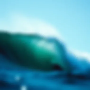 Exploring Point Breaks: A Comprehensive Guide for Surf Enthusiasts Summary Exploring Point Breaks: A Comprehensive Guide for Surf Enthusiasts Summary