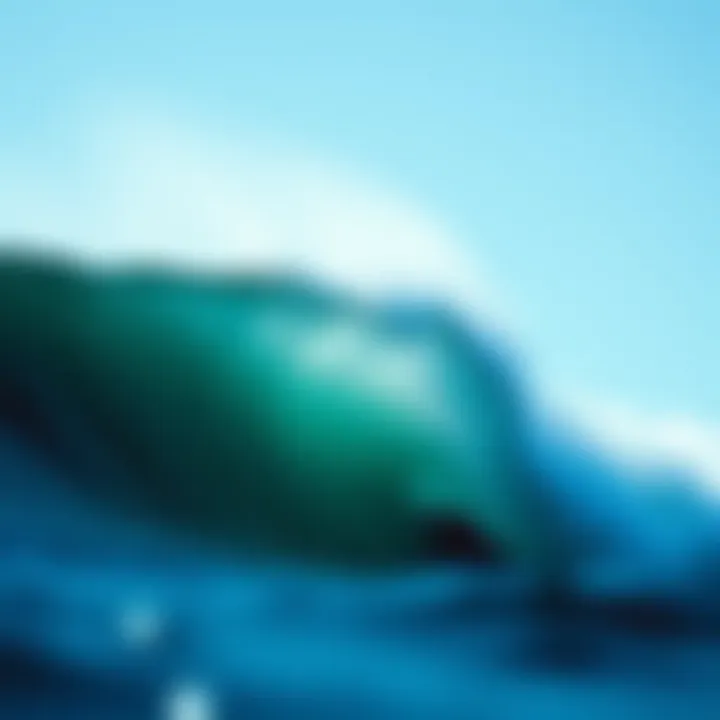 Exploring Point Breaks: A Comprehensive Guide for Surf Enthusiasts Summary Exploring Point Breaks: A Comprehensive Guide for Surf Enthusiasts Summary