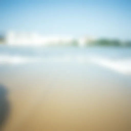 The Craftsmanship of Skimmer Boards Close-up view of a skimmer board on the beach