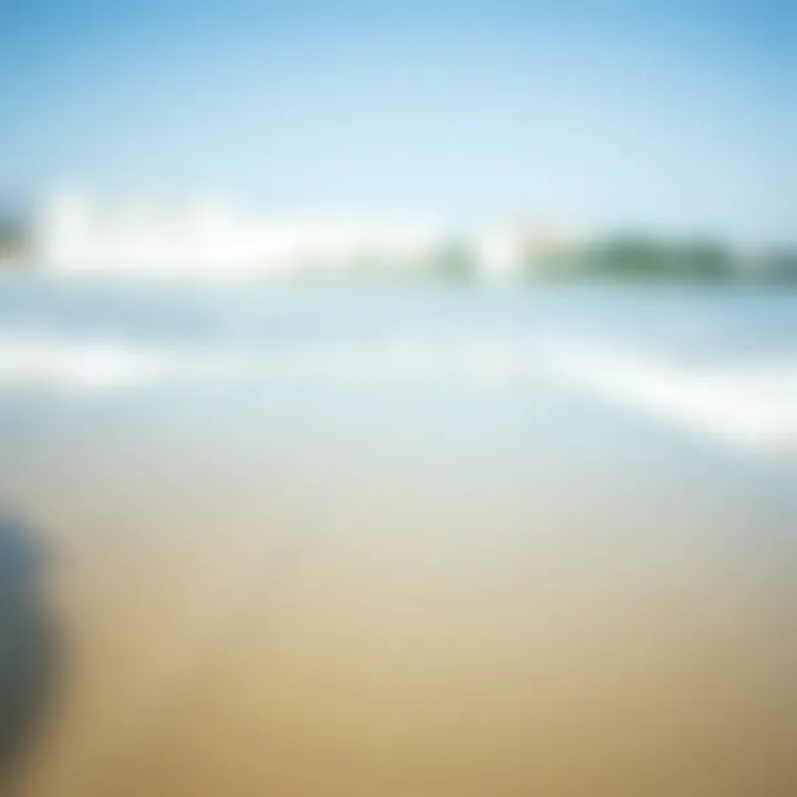 The Craftsmanship of Skimmer Boards Close-up view of a skimmer board on the beach