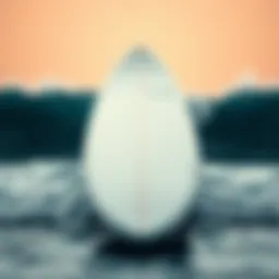 Exploring Soft Top Surfboards: An In-Depth Guide Introduction