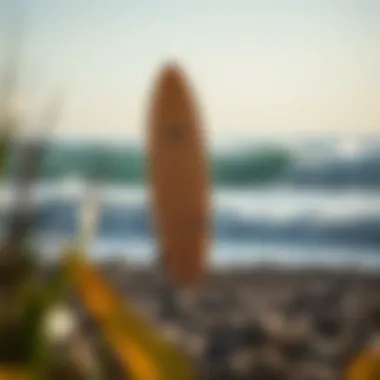 Exploring South Bay Surf Boards: A Comprehensive Guide Summary