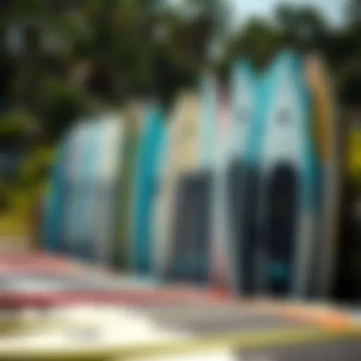 Different types of stand-up paddle boards lined up