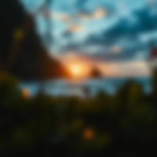 Exploring Sunrise Surf Camps: A Comprehensive Overview Introduction