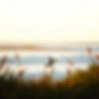 Exploring 'Surf': A Cinematic Dive into the World of Surfing Introduction