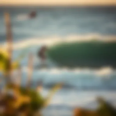 Notable Exploring Surf Camp Experiences in Central America Notable Exploring Surf Camp Experiences in Central America