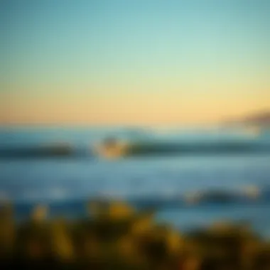 Exploring Surf Spots in San Diego: A Comprehensive Guide Summary Exploring Surf Spots in San Diego: A Comprehensive Guide Summary