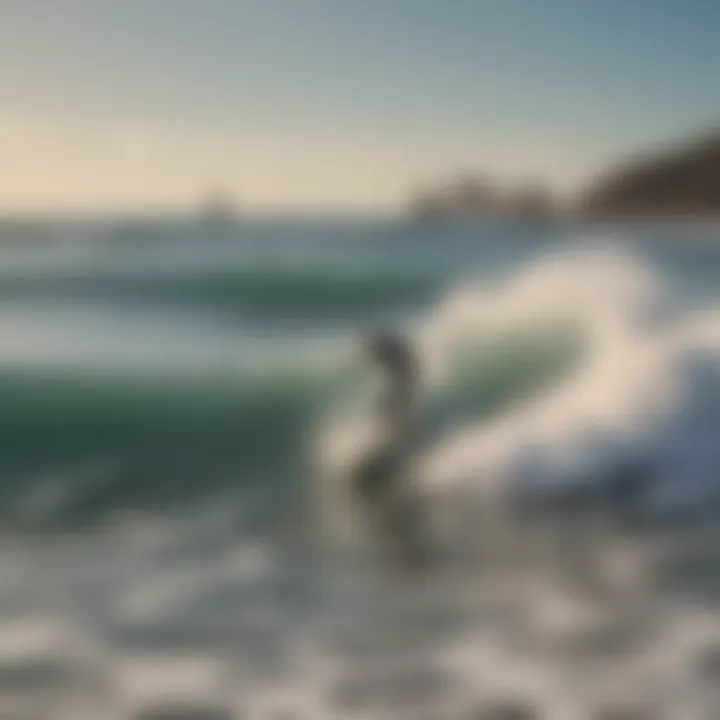 Surfers riding the waves at a popular beach in Cabo San Lucas.