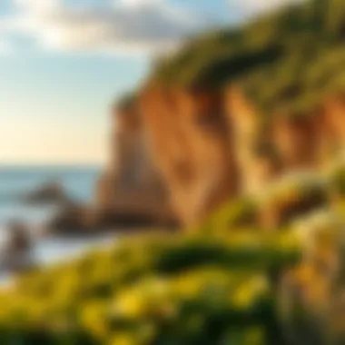 Ecological diversity at Bells Beach